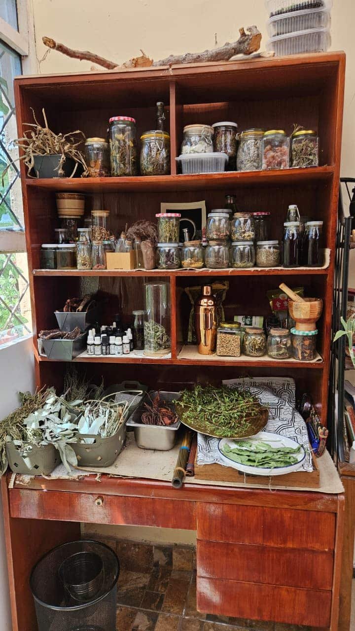 WhatsApp Image 2026-03-15 at 13.58.43